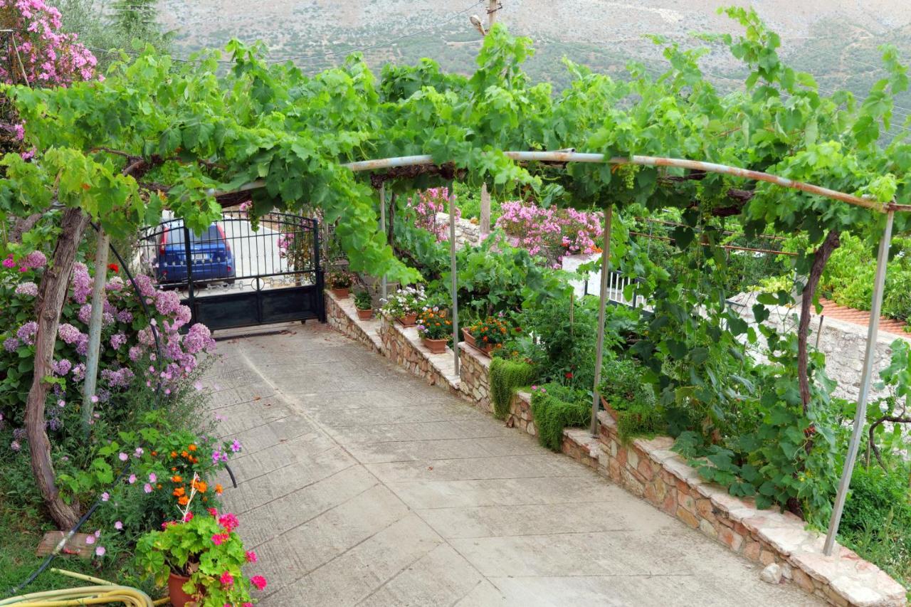 Guesthouse Panorama Nivice ساراندا المظهر الخارجي الصورة